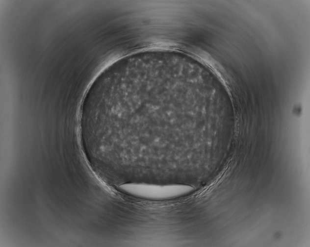 X0000097911235200804041454