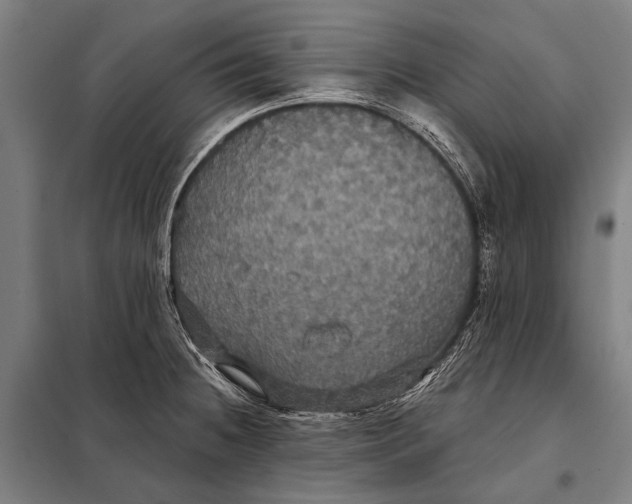 X0000097911236200804041454