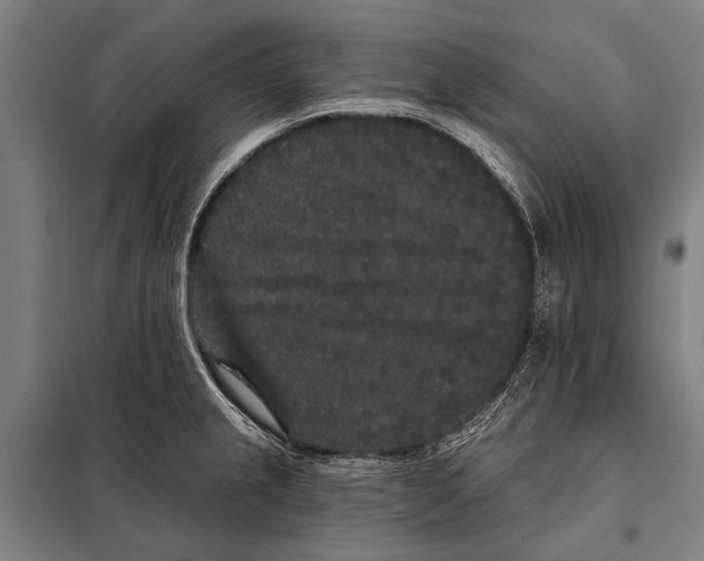 X0000097911237200804041454