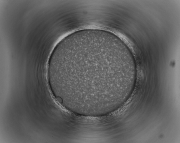 X0000097911238200804041454