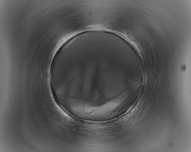 X0000097911239200804041454