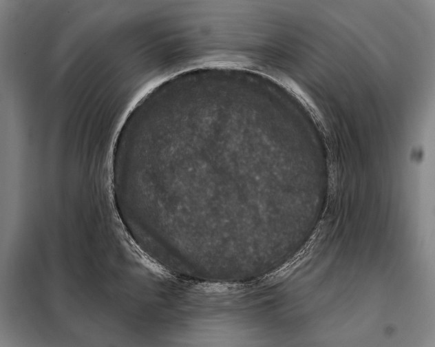 X0000097911240200804041454