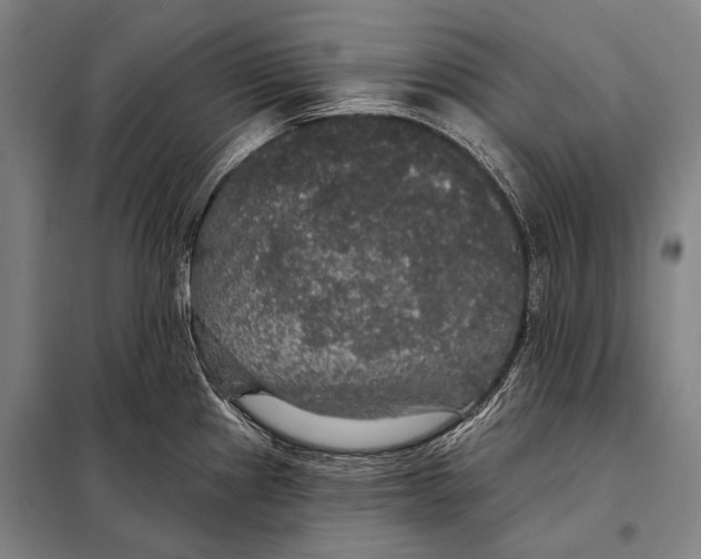 X0000097911241200804041454