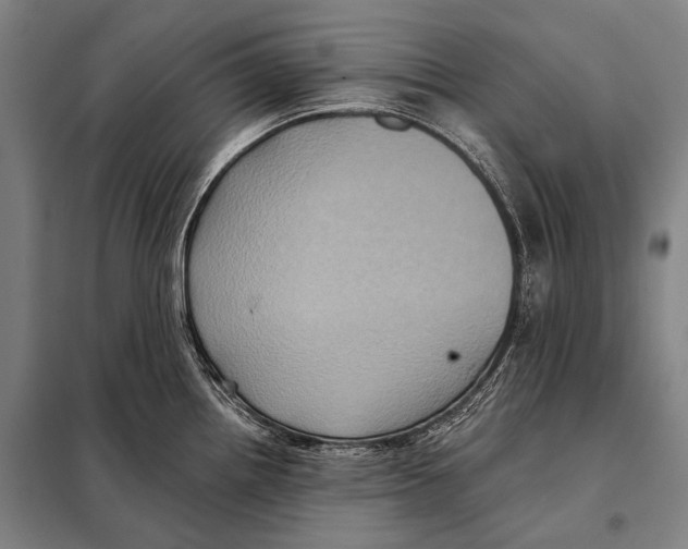 X0000097911242200804041454