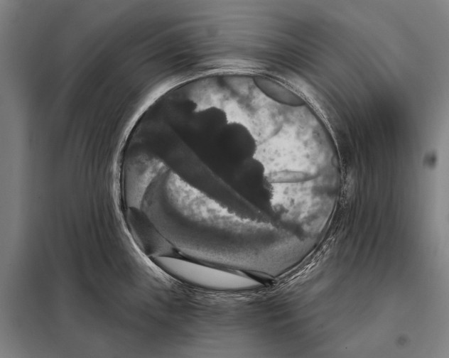 X0000097911243200804041454