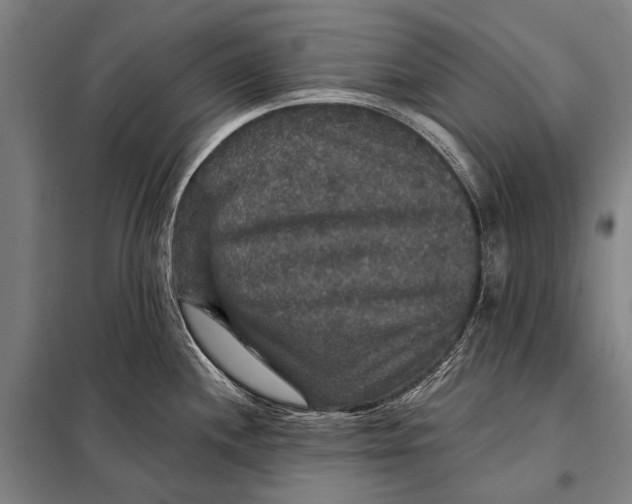 X0000097911244200804041454