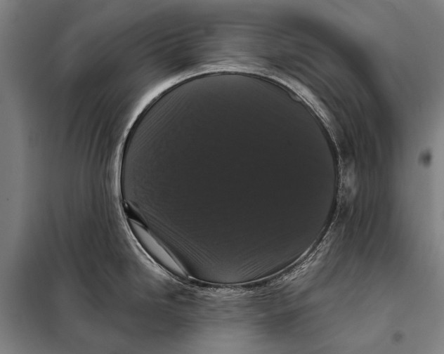 X0000097911246200804041454