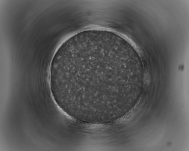 X0000097911247200804041454