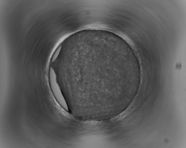 X0000097911248200804041454