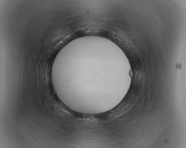 X0000097911250200804041453