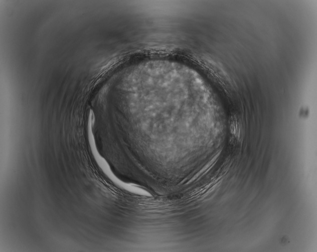 X0000097911252200804041453