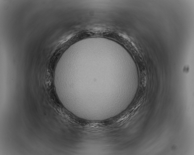 X0000097911253200804041453