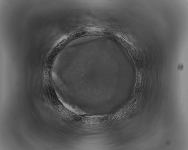 X0000097911254200804041453