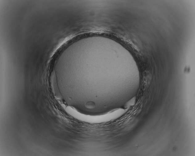 X0000097911256200804041453