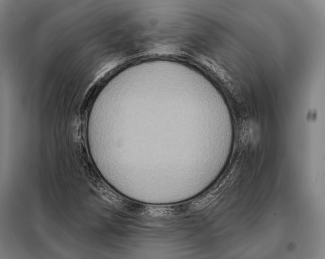 X0000097911258200804041453