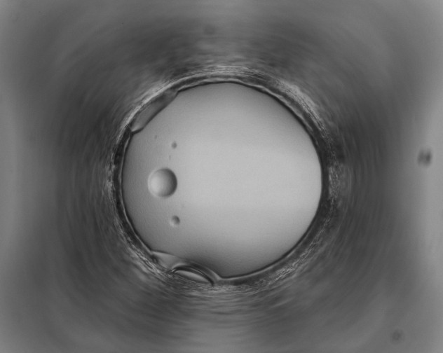 X0000097911260200804041453