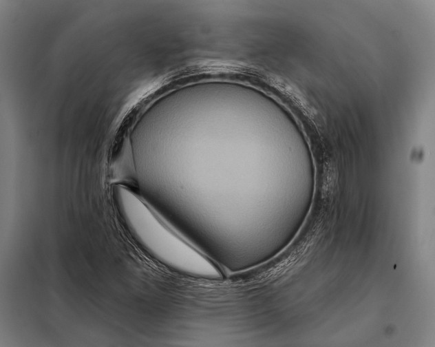 X0000097911261200804041453