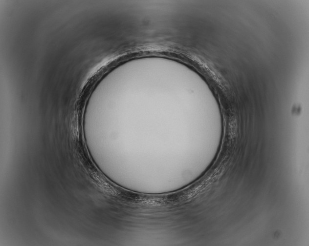 X0000097911262200804041453