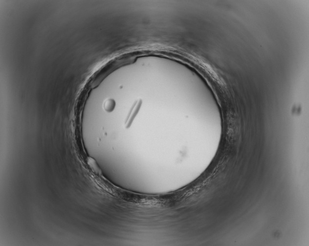 X0000097911264200804041453