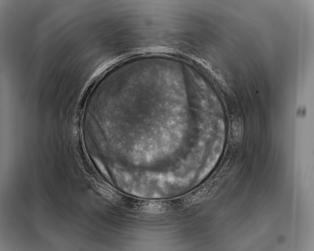 X0000097911266200804041453