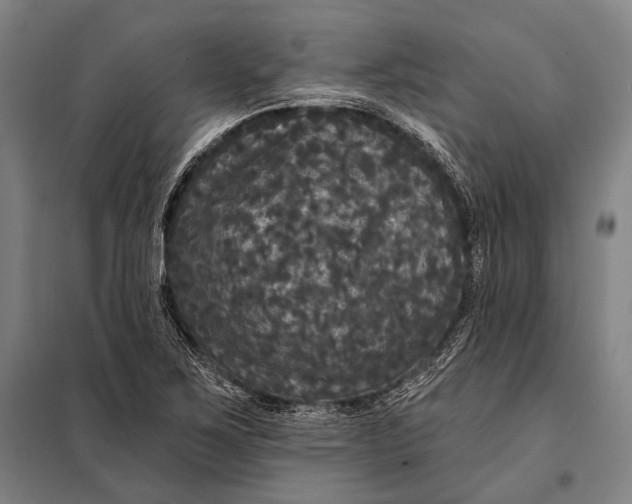 X0000097911267200804041453