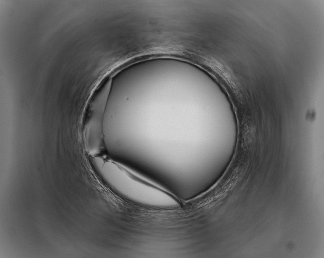 X0000097911268200804041453