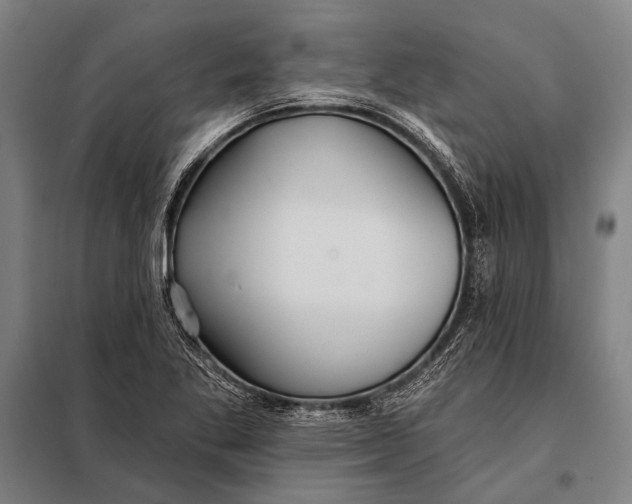 X0000097911269200804041453