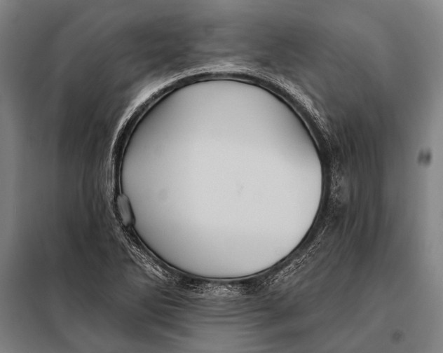 X0000097911270200804041453