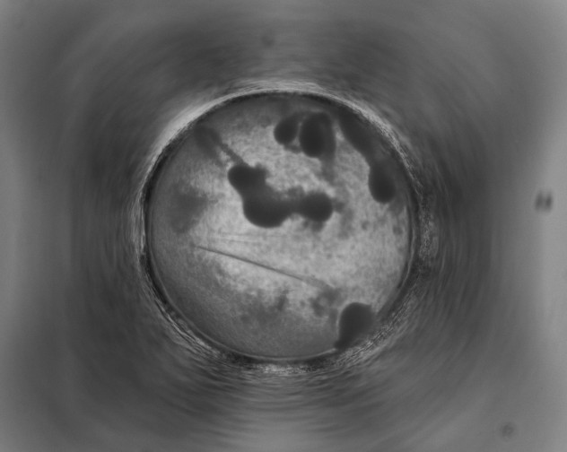 X0000097911271200804041453