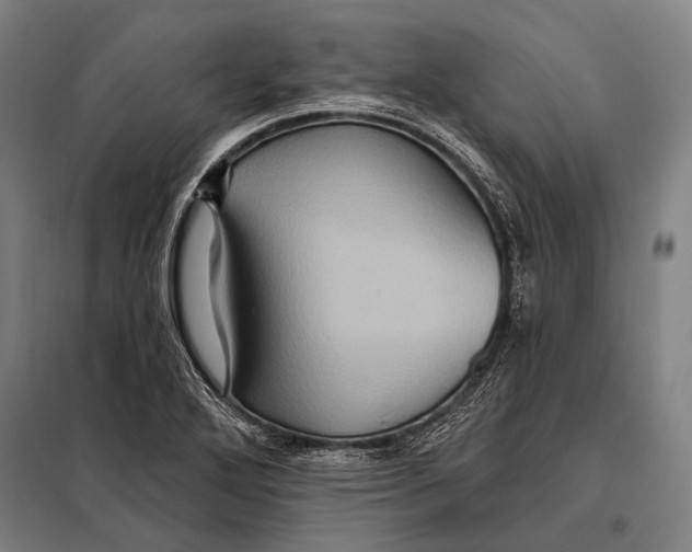 X0000097911272200804041453