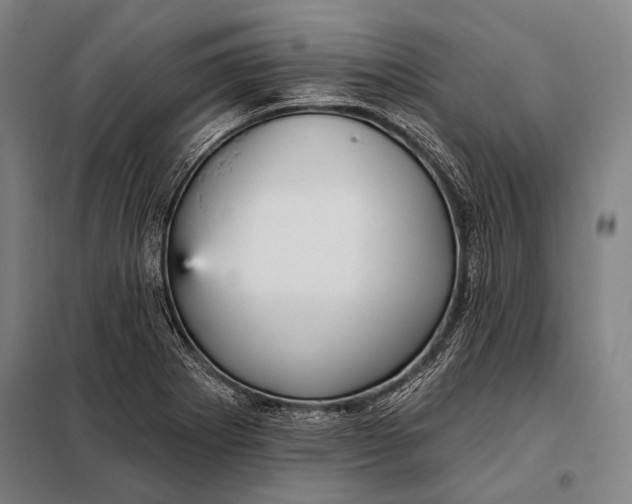 X0000097911273200804041453