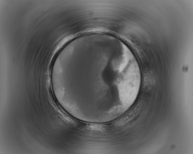 X0000097911274200804041453