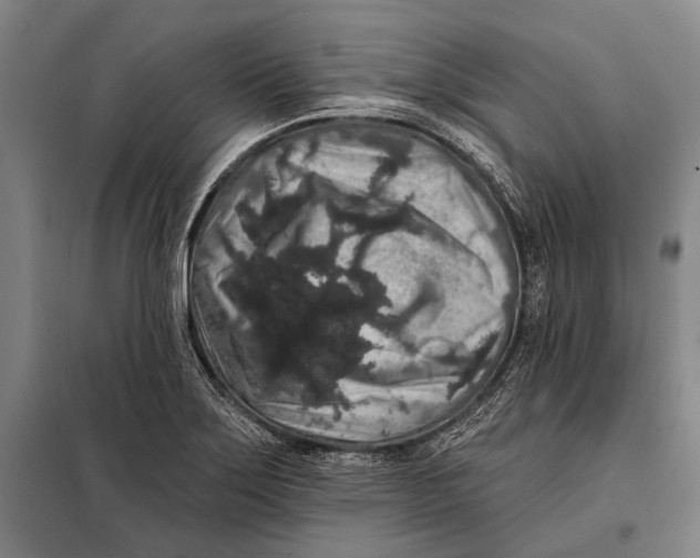 X0000097911275200804041453