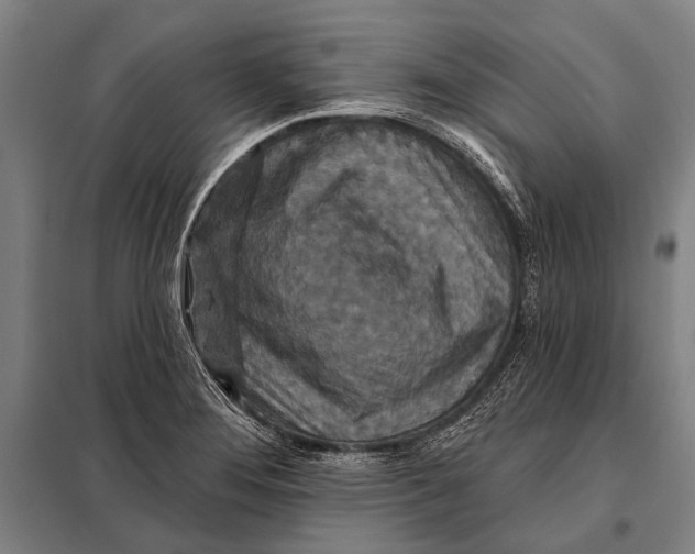 X0000097911276200804041453