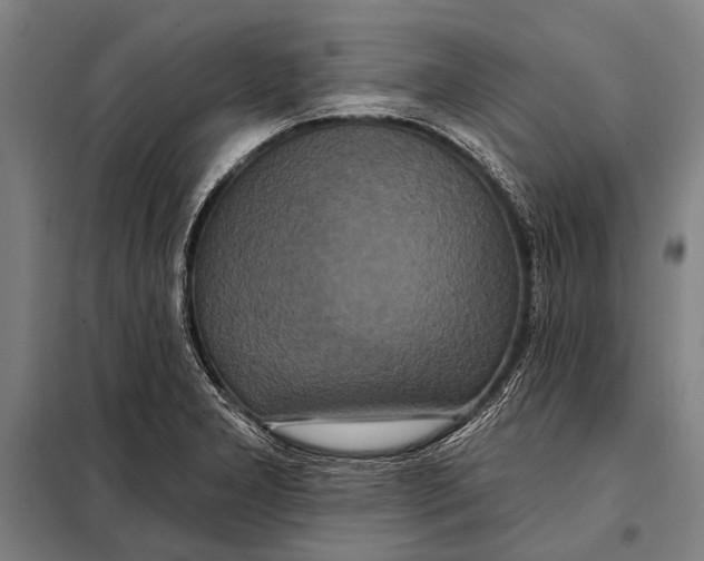 X0000097911277200804041453