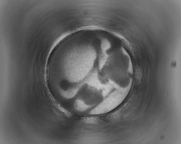 X0000097911278200804041453