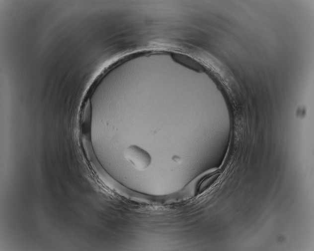 X0000097911280200804041453