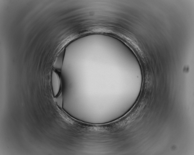 X0000097911281200804041453