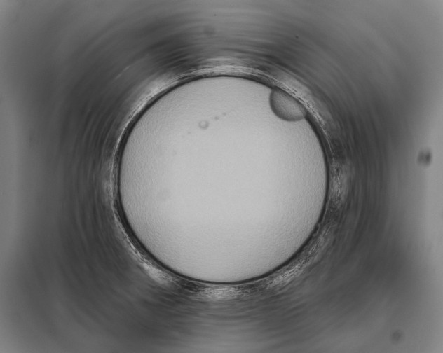 X0000097911282200804041453