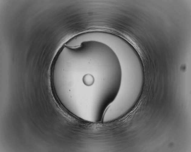 X0000097911283200804041453