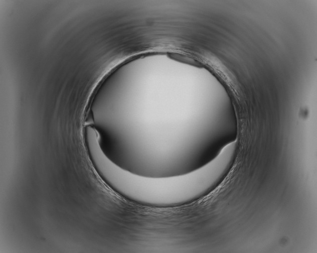 X0000097911284200804041453