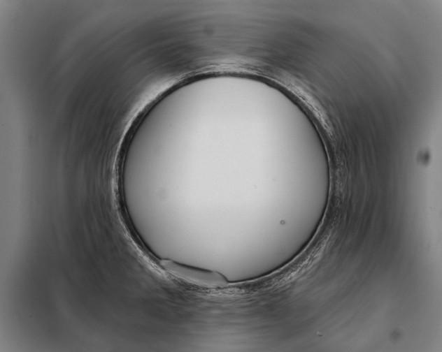 X0000097911285200804041452