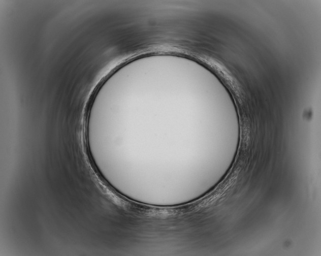 X0000097911286200804041452