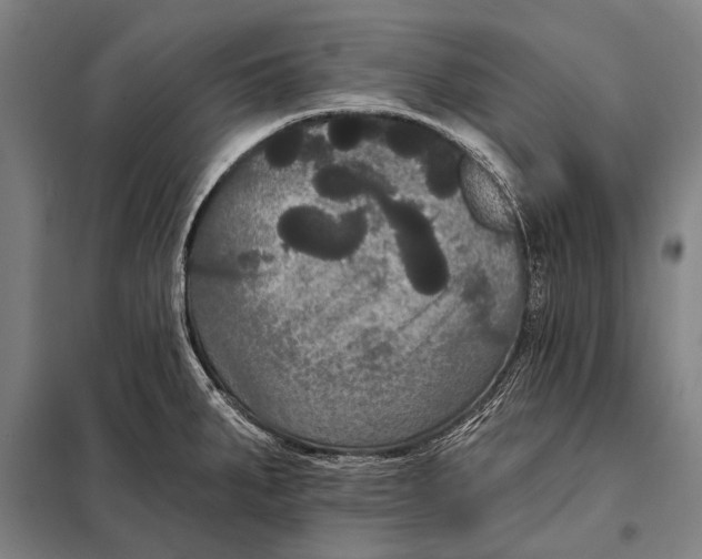 X0000097911287200804041452