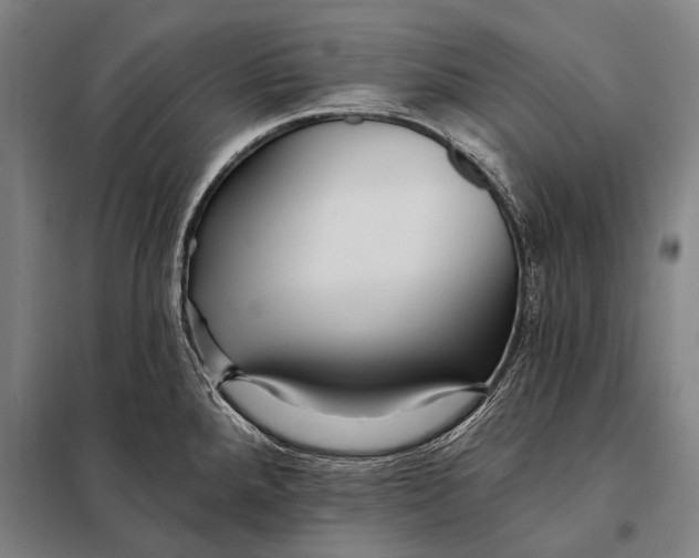 X0000097911288200804041452