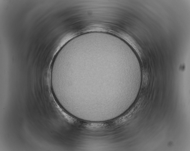 X0000097911290200804041452