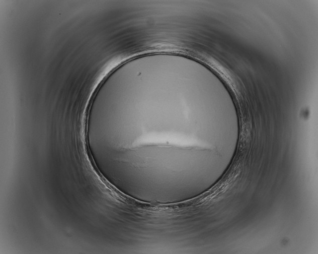 X0000097911291200804041452