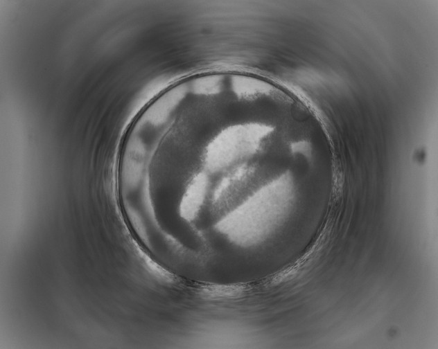 X0000097911294200804041452