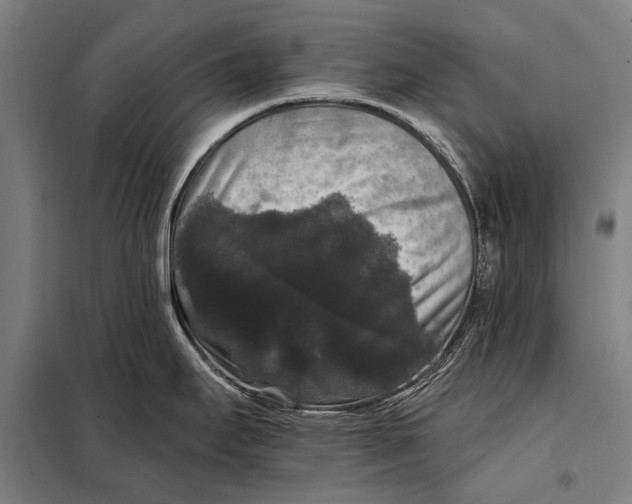 X0000097911295200804041452