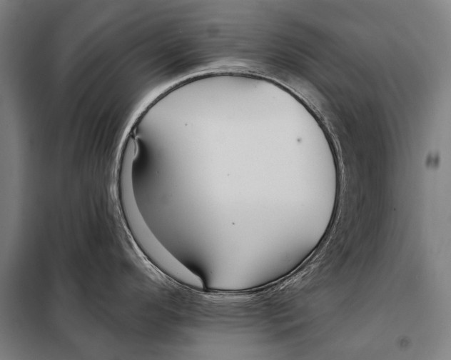 X0000097911296200804041452